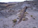 photo thumbnail #8