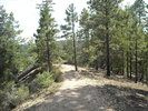 photo thumbnail #4