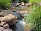 photo thumbnail #5