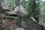 photo thumbnail #7