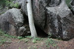 photo thumbnail #8