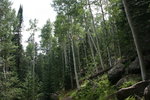 photo thumbnail #12