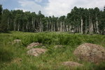 photo thumbnail #13