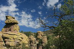photo thumbnail #1