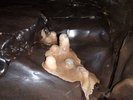 photo thumbnail #14