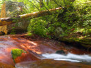 photo thumbnail #9