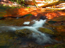 photo thumbnail #10