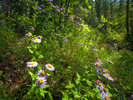photo thumbnail #11