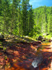 photo thumbnail #14