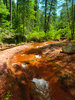 photo thumbnail #15