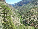 photo thumbnail #8