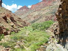 photo thumbnail #14