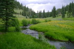 photo thumbnail #11