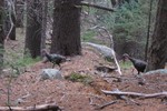 photo thumbnail #8