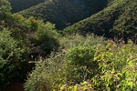 photo thumbnail #1