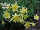 photo thumbnail #6