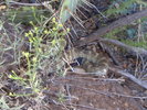 photo thumbnail #12