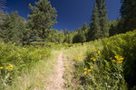 photo thumbnail #1