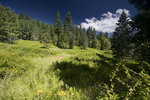photo thumbnail #9