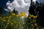 photo thumbnail #11