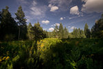 photo thumbnail #12