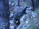photo thumbnail #3