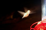 photo thumbnail #13