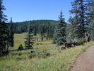 photo thumbnail #1