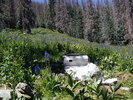 photo thumbnail #4