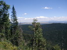 photo thumbnail #7