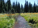 photo thumbnail #9