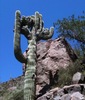 photo thumbnail #5