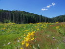 photo thumbnail #1