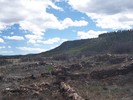 photo thumbnail #8