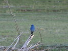 photo thumbnail #13