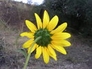 photo thumbnail #10