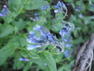 photo thumbnail #4