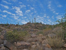photo thumbnail #2