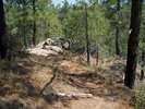 photo thumbnail #7