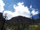 photo thumbnail #3