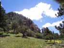 photo thumbnail #14