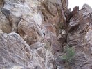 photo thumbnail #5
