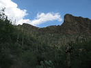 photo thumbnail #4