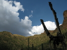 photo thumbnail #5