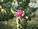 photo thumbnail #9