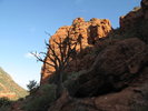 photo thumbnail #2