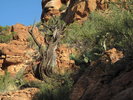 photo thumbnail #4