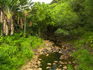 photo thumbnail #9
