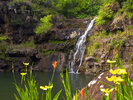 photo thumbnail #12