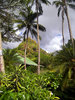 photo thumbnail #15